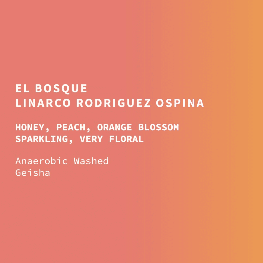 Image of Colombia Linarco Rodriguez