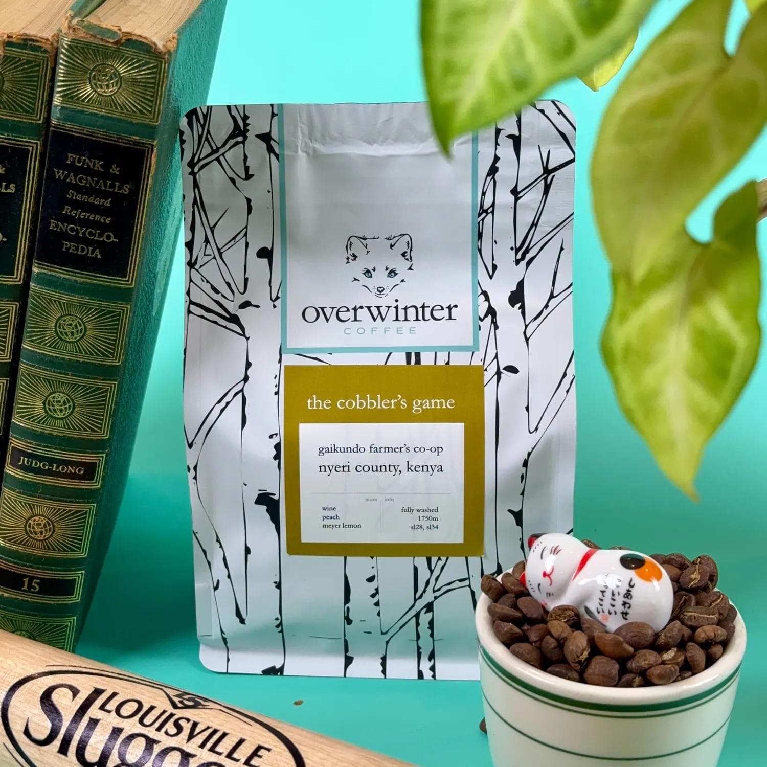 Image of The Cobbler’s Game