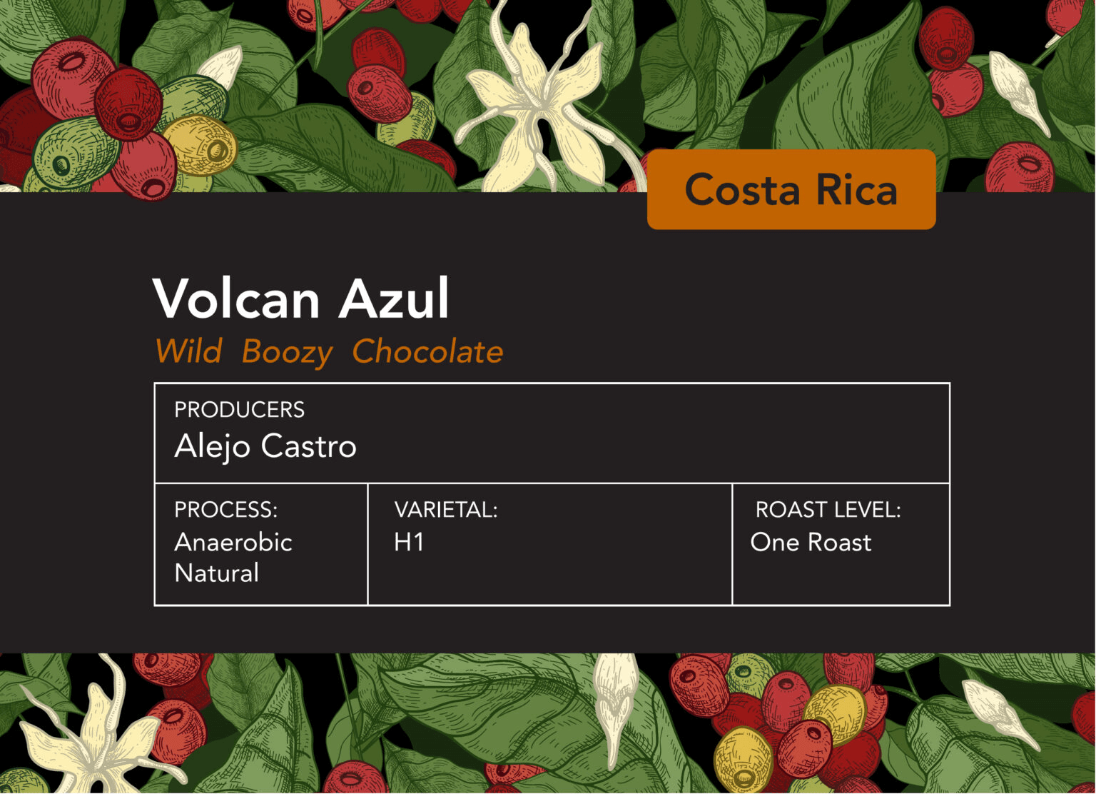 Image of Costa Rica Volcan Azul H1 Anearobic Natural One Roast