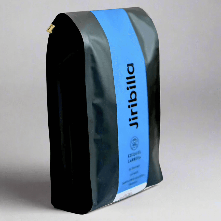 Image of Ezequiel Carrera - Washing