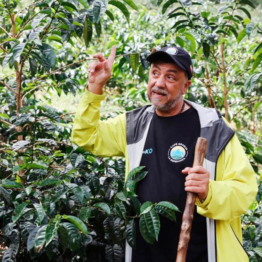 Image of Colombia - CGLE - Potosi - Wushwush Natural