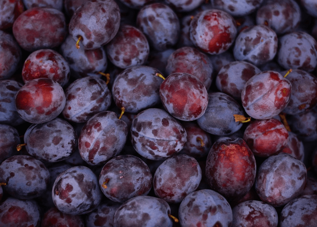 Image of Apple blossom & Plum