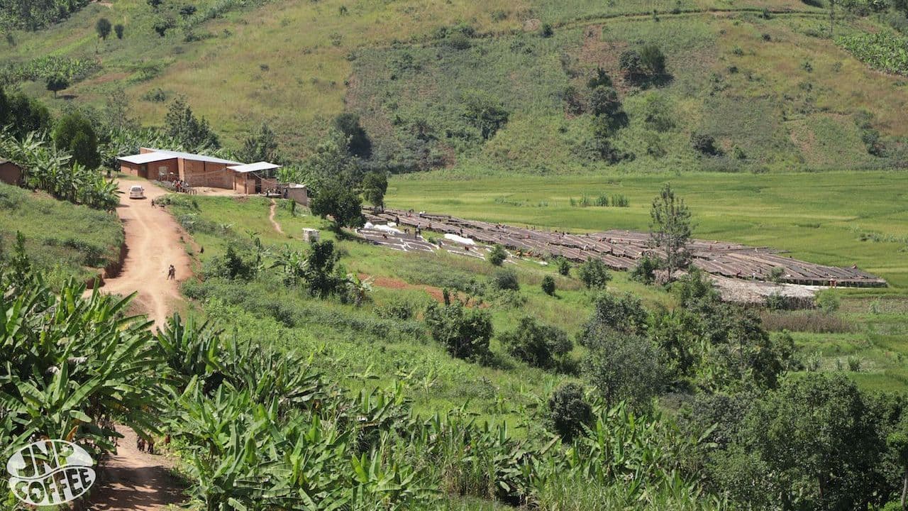 Image of Colombia Tablon de Gomez & Burundi Hafi