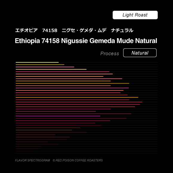 Image of Ethiopia COE 2020 1st Place Nigussie Gemeda Mude Natural