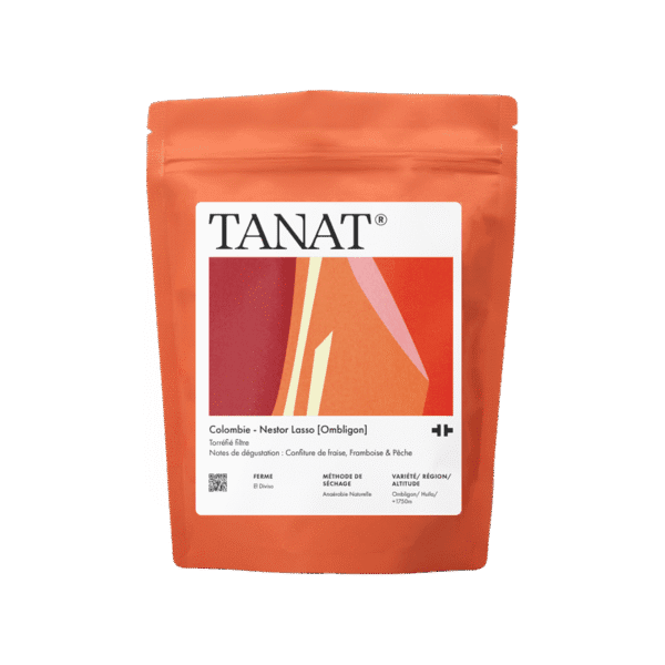 Image of Nestor Lasso Ombligon