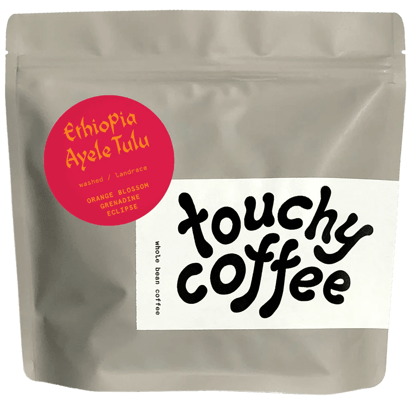 Image of Ethiopia Ayele Tulu