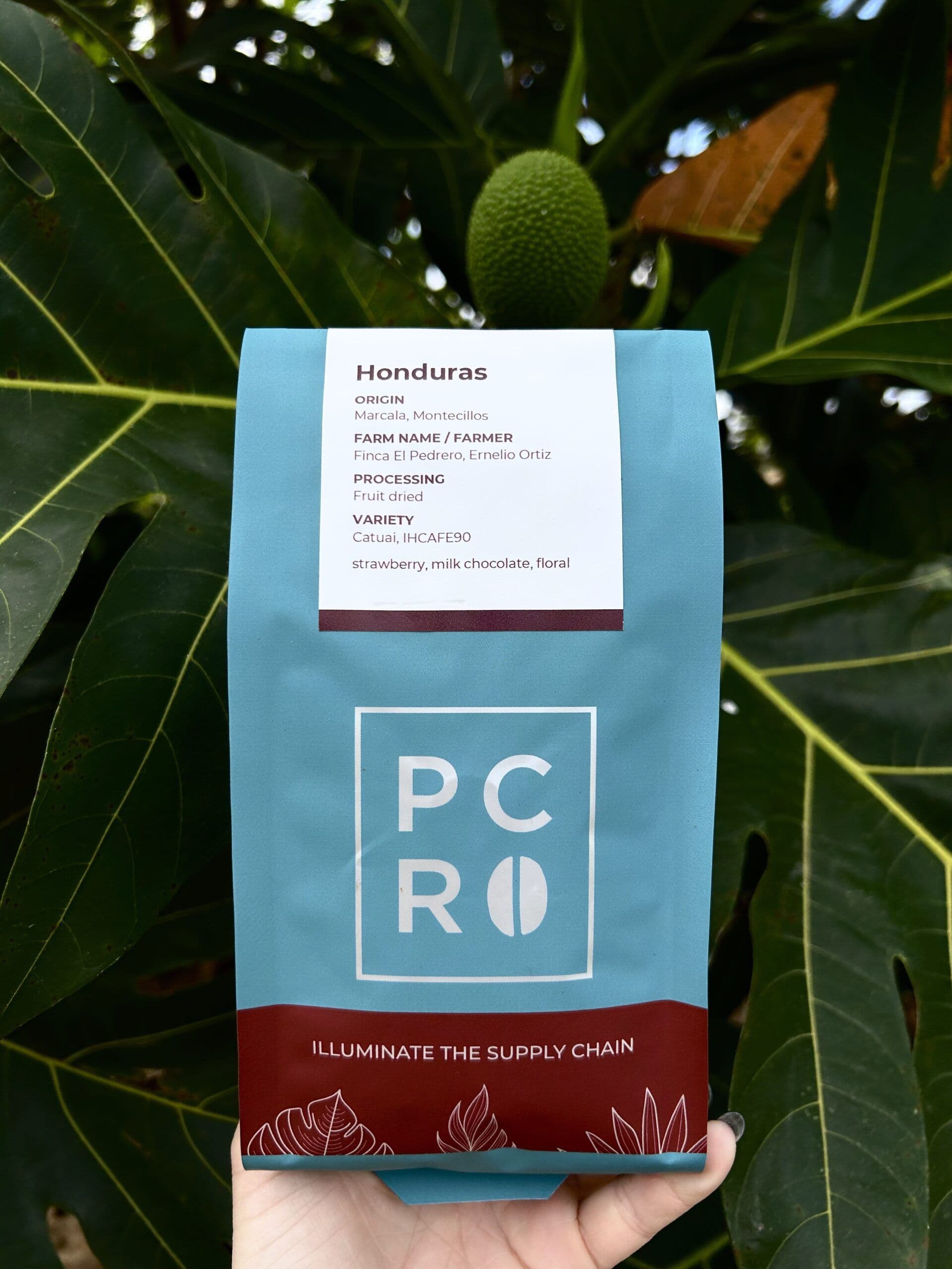 Image of Montecillos, Honduras