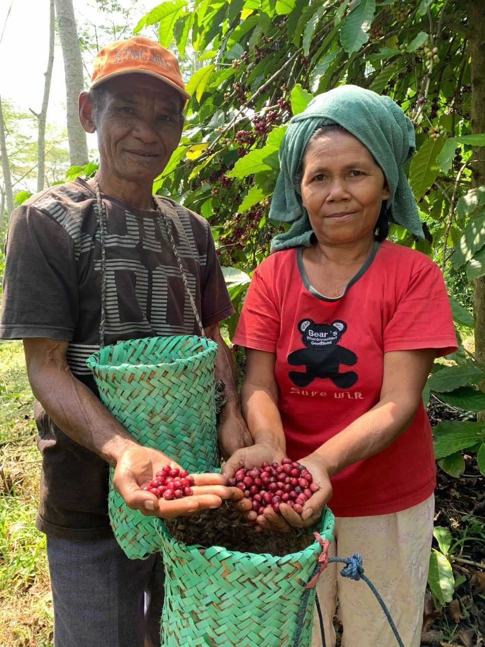 Image of Indonesia Tuang-Mbohang Flores Lot 753 Anaerobic Yeast Natural