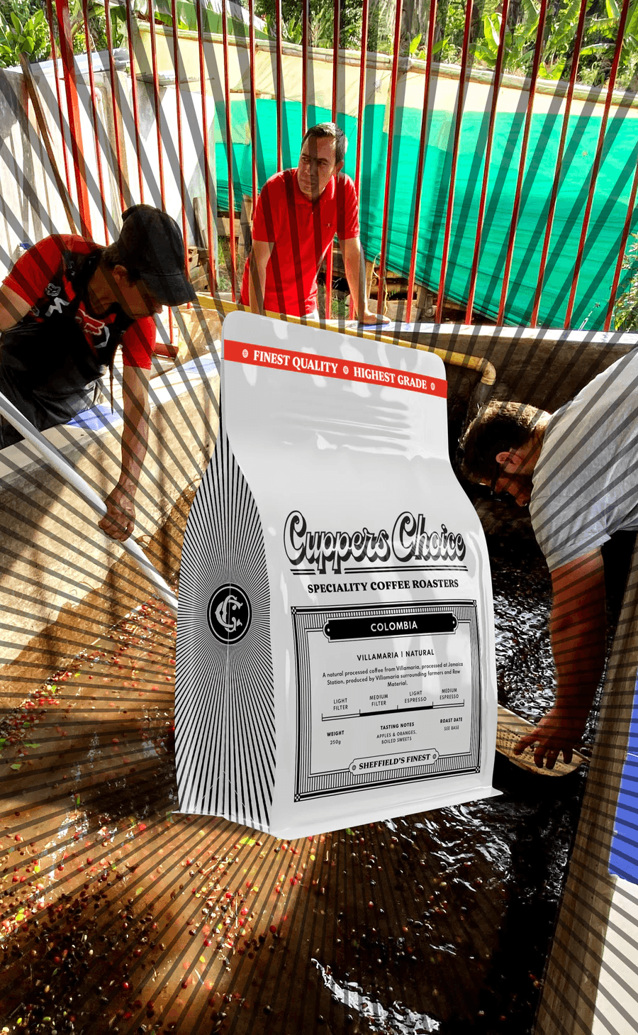 Image of Villamaria - Natural - Colombia