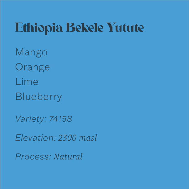 Image of Ethiopia Bekele Yutute