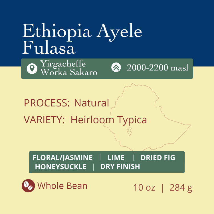 Image of Ethiopia Ayele Fulasa