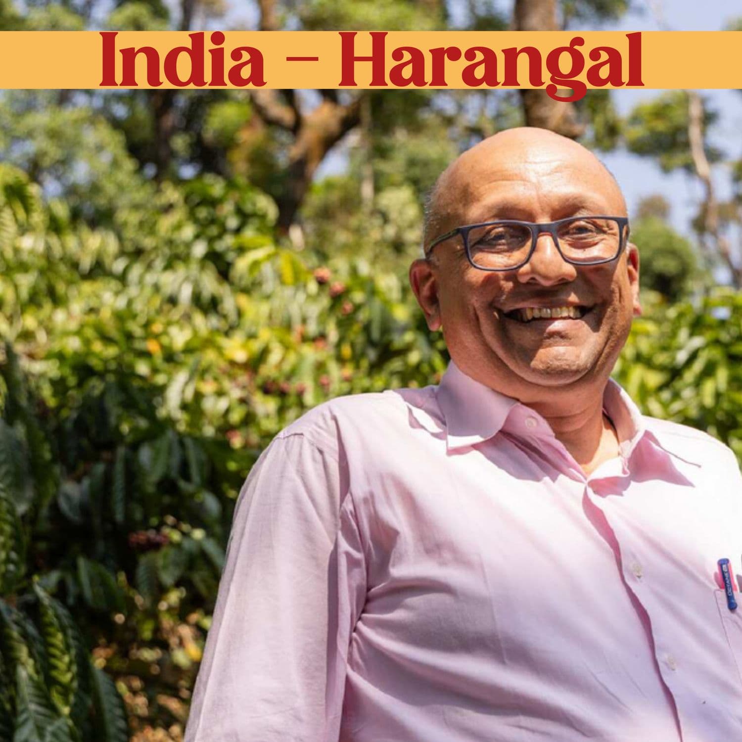 Image of India - Harangal