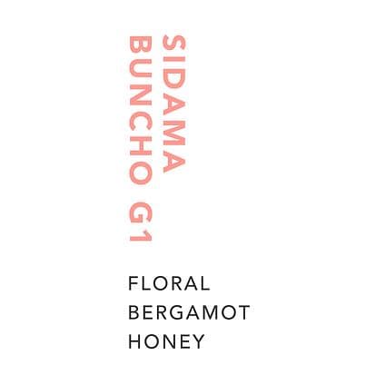 Image of Sidama Buncho G1