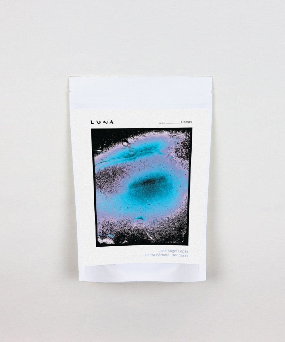 Image of Jose Angel Lopez Pacas from Santa Barbara Honduras 2023