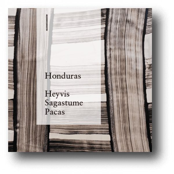 Image of Honduras Heyvis Sagastume Pacas Washed 200g