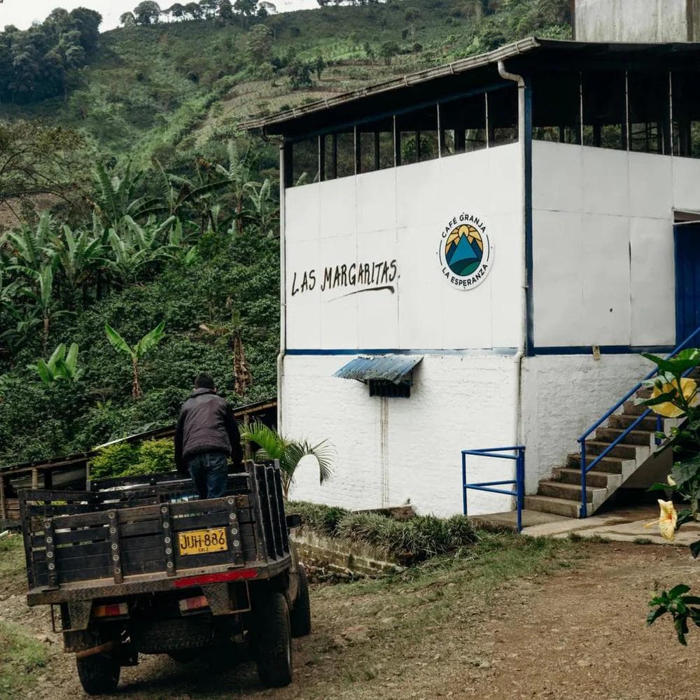 Image of Colombia - CGLE - Las Magaritas - Hybrid Washed Geisha