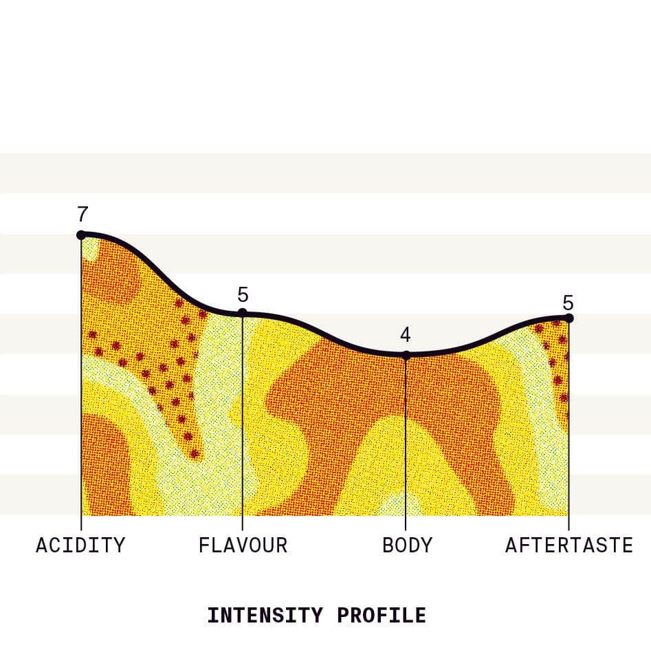 Image of Colombia Daniel Hernandez Tropical Chiroso