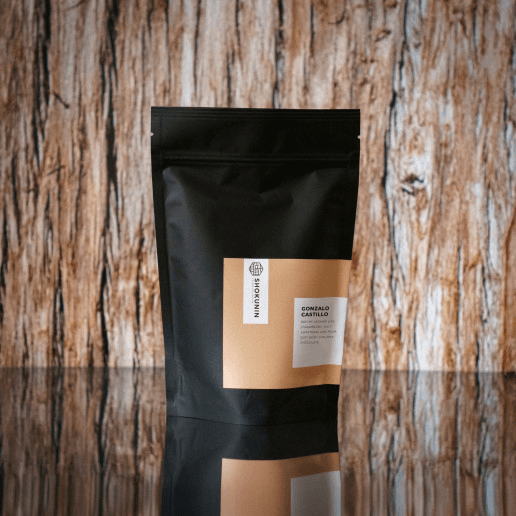 Image of Gonzalo Castillo