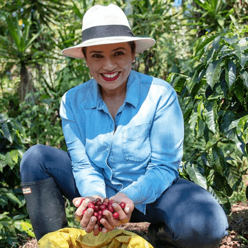 Image of Honduras El Puente Geisha