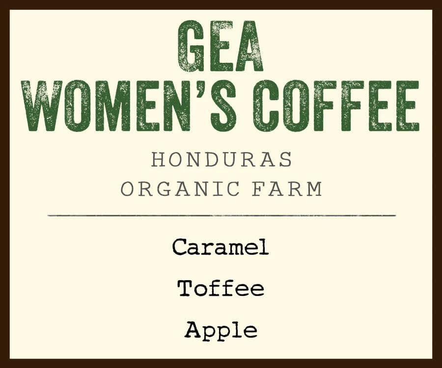Image of Gea Women's BREW