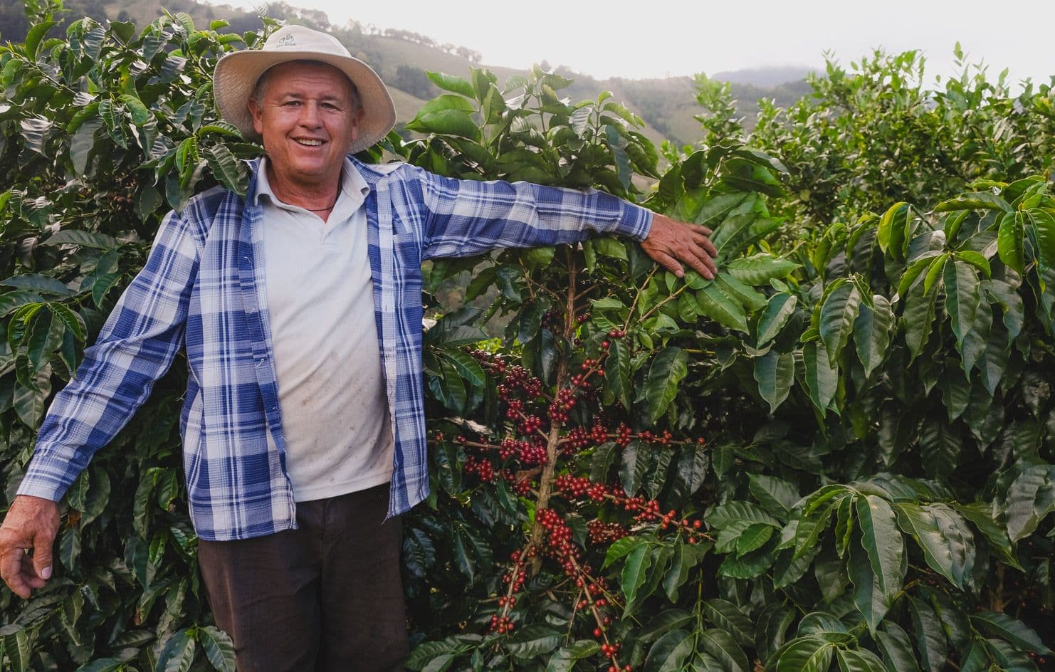 Image of Finca Chico