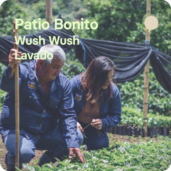 Image of Patio Bonito Colombia