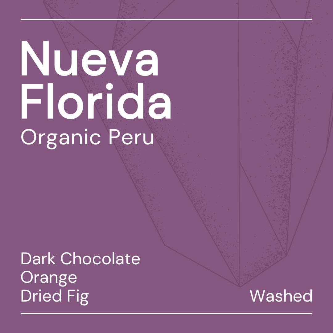 Image of Nueva Florida