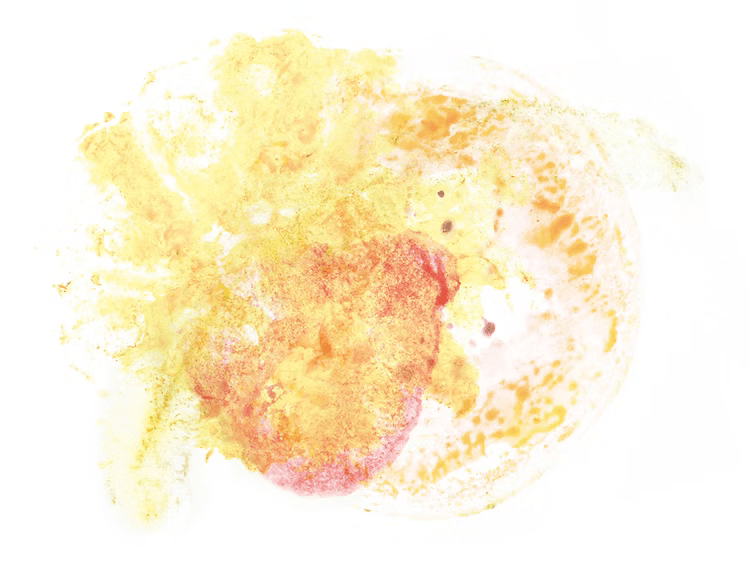 Image of Colombia Las Flores Yellow Bourbon