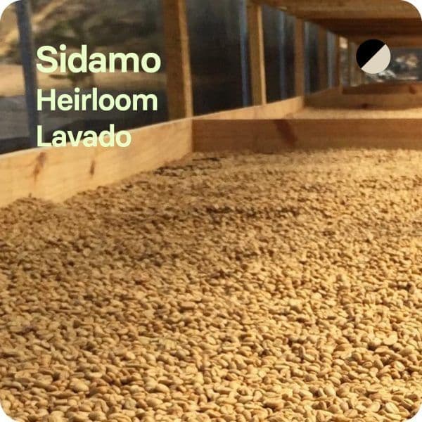 Image of Sidamo Etiopia