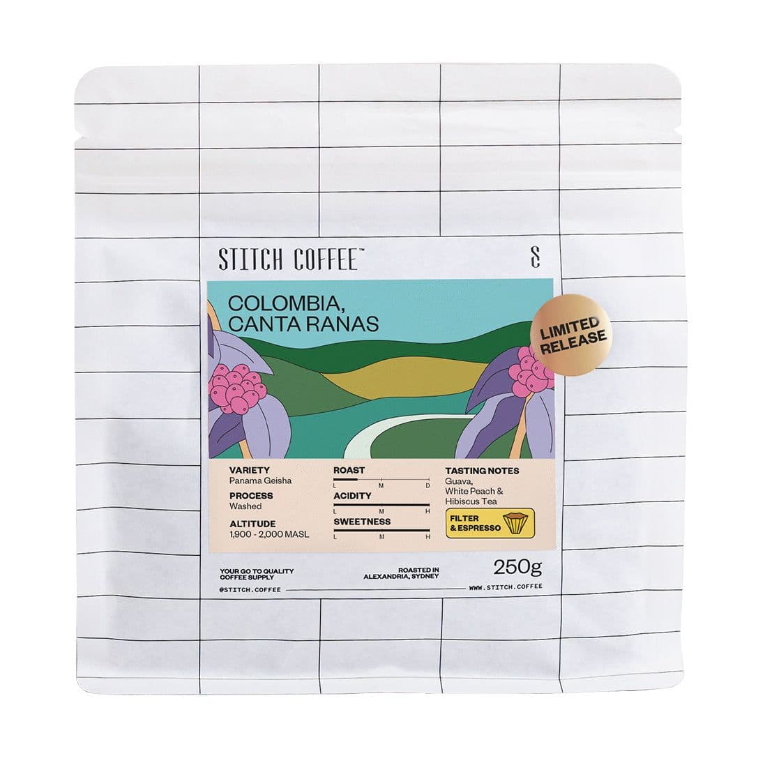 Image of Colombia Canta Ranas