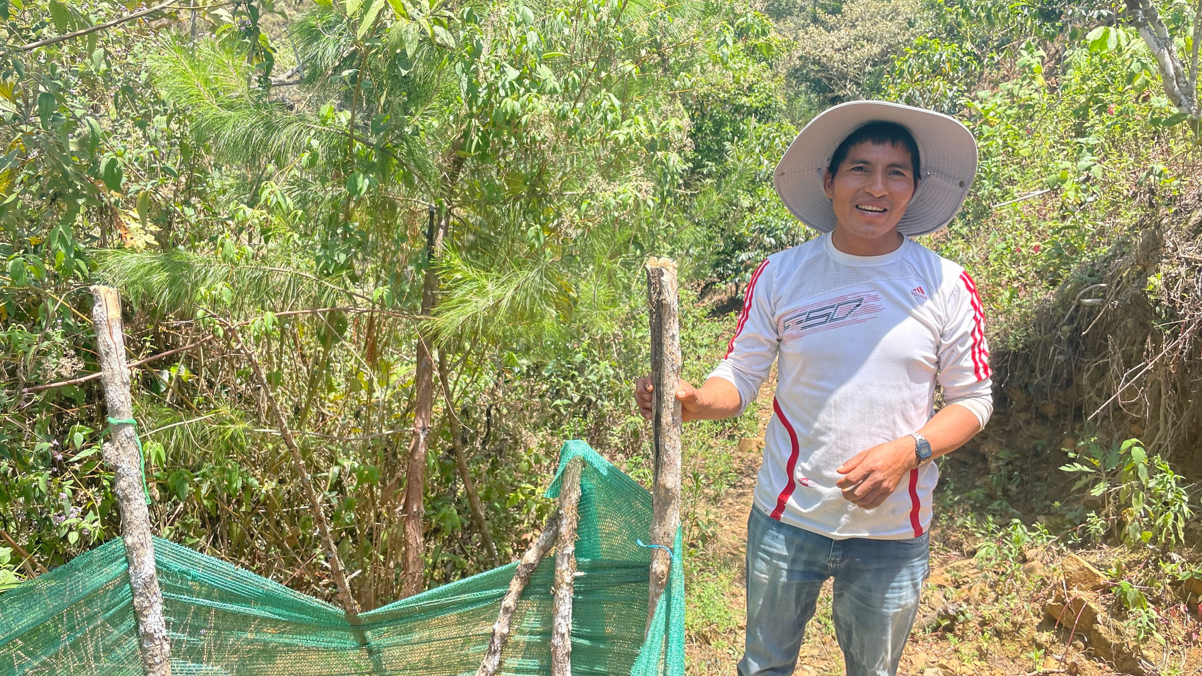 Image of Peru Bella Vista X Grade Gesha