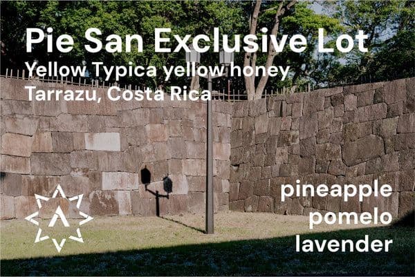 Image of Pie San Exclusive Lot