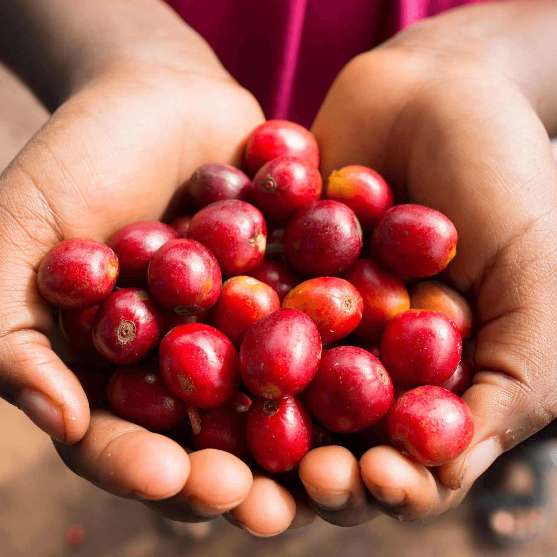 Image of Mr Hat - Embrujo