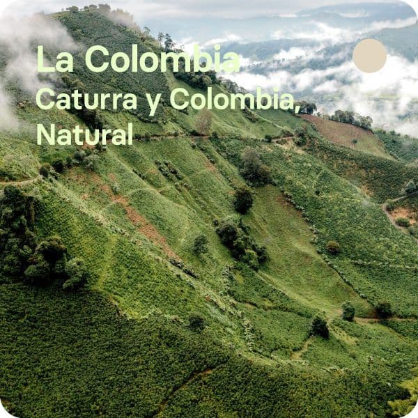 Image of La Colombia - Colombia