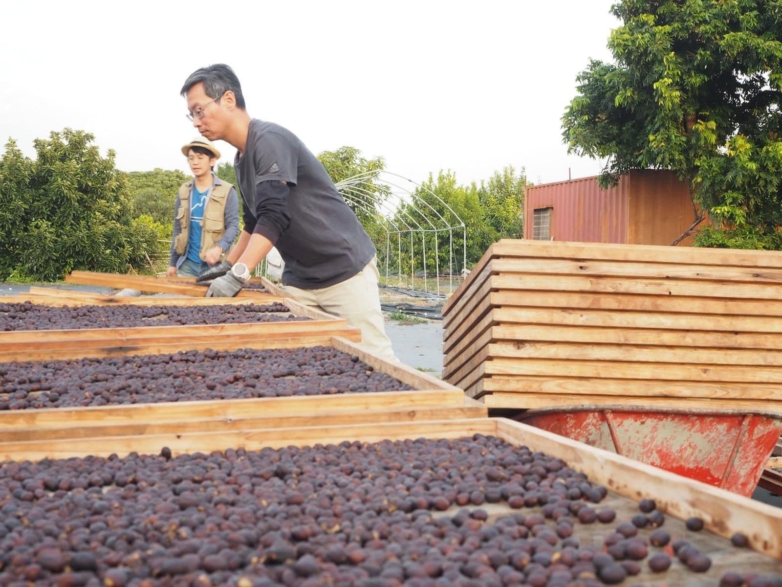 Image of Taiwan Taichung SL34 Natural