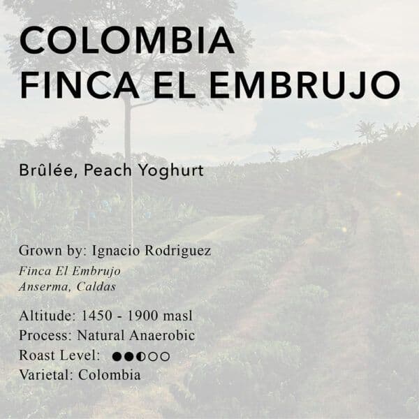 Image of Colombia Finca El Embrujo