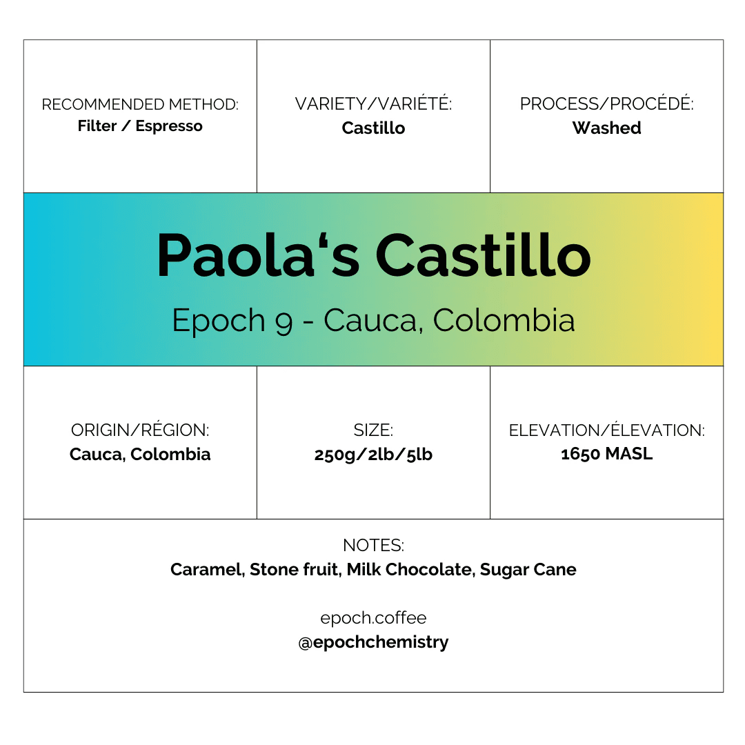 Image of Epoch 9 - Paolas Castillo