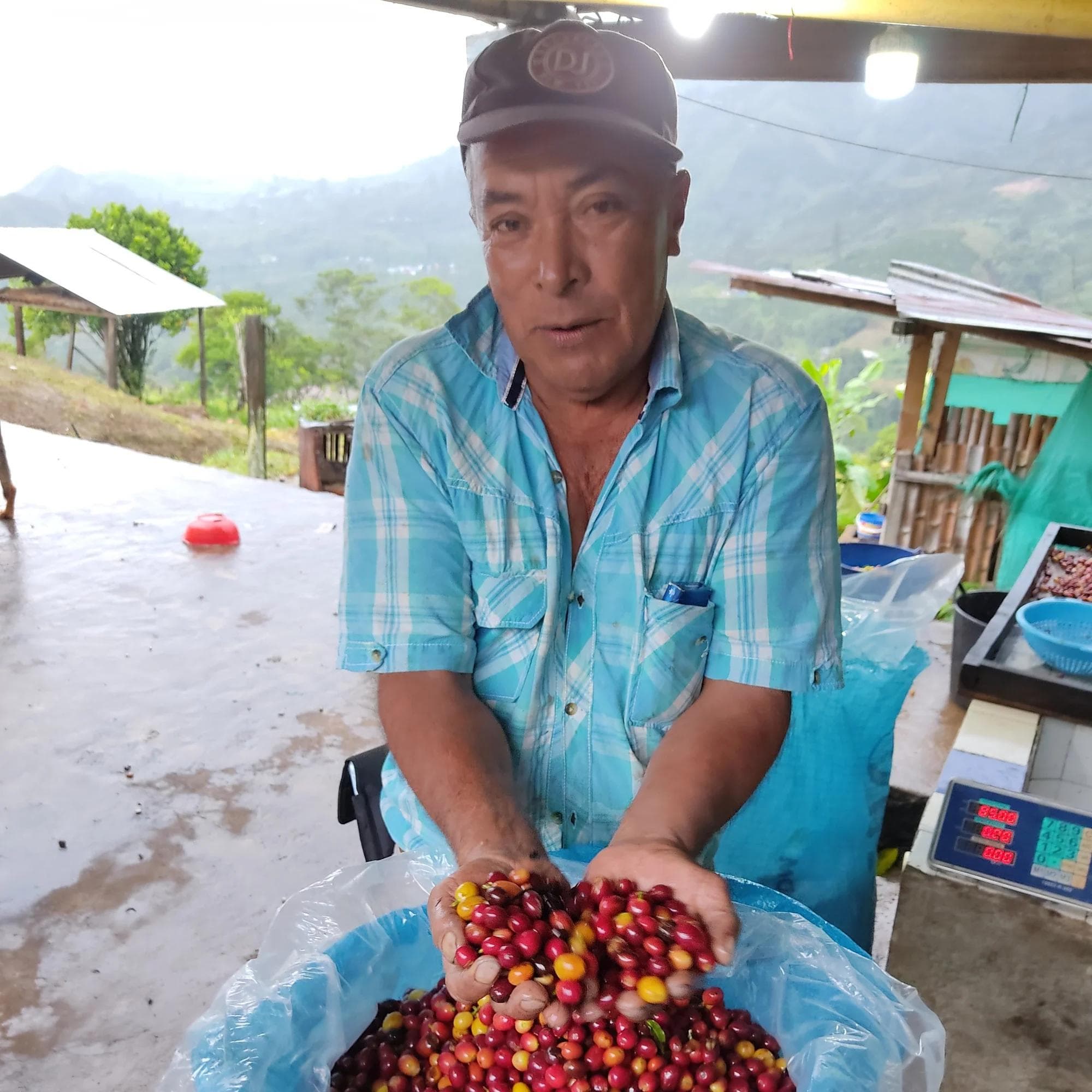Image of Alonso Bustos - Finca El Mirador - Tabi - Natural - Colombia - 2024