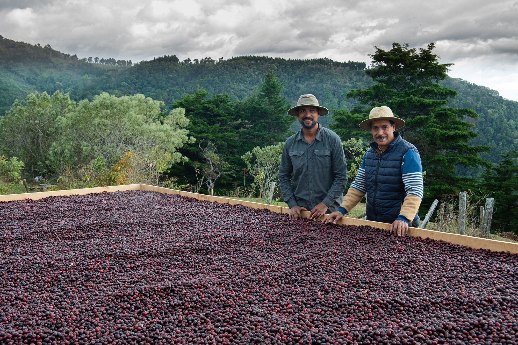 Image of Guatemala La Bugambilia