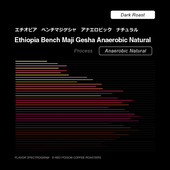 Image of Ethiopia Bench Maji Gesha Anaerobic Natural Dark Roast