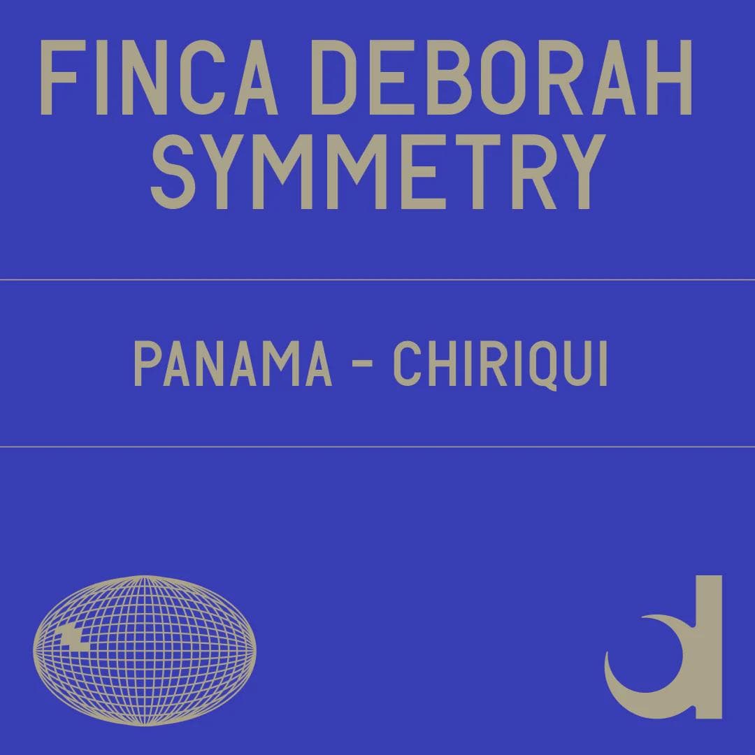 Image of Finca Deborah Symmetry