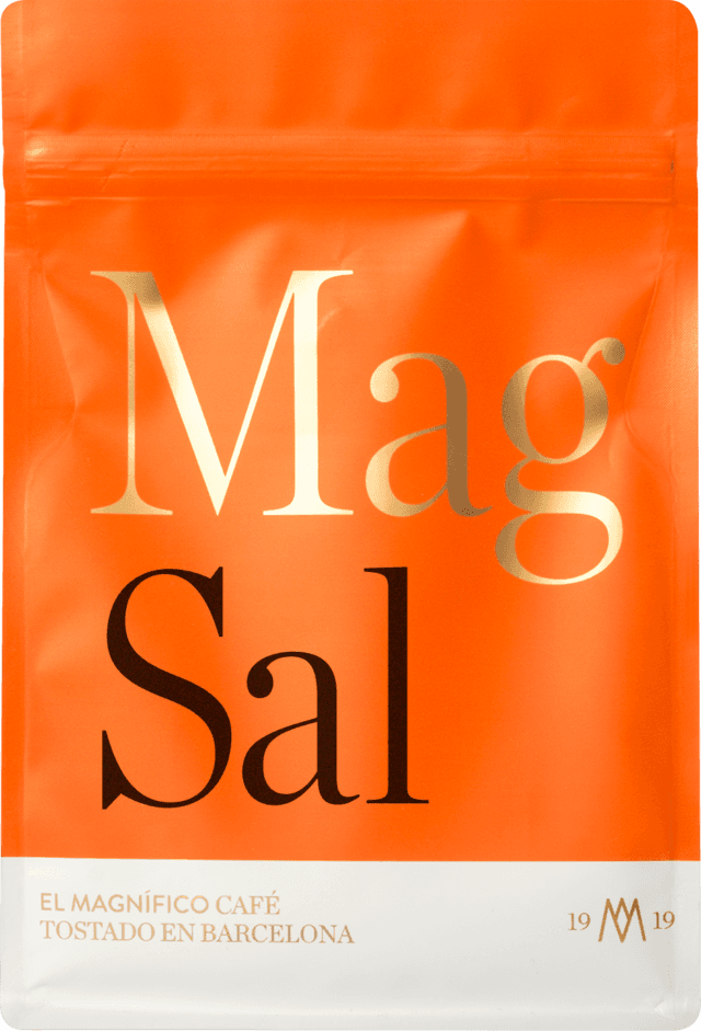 Image of Salvador El Cerro