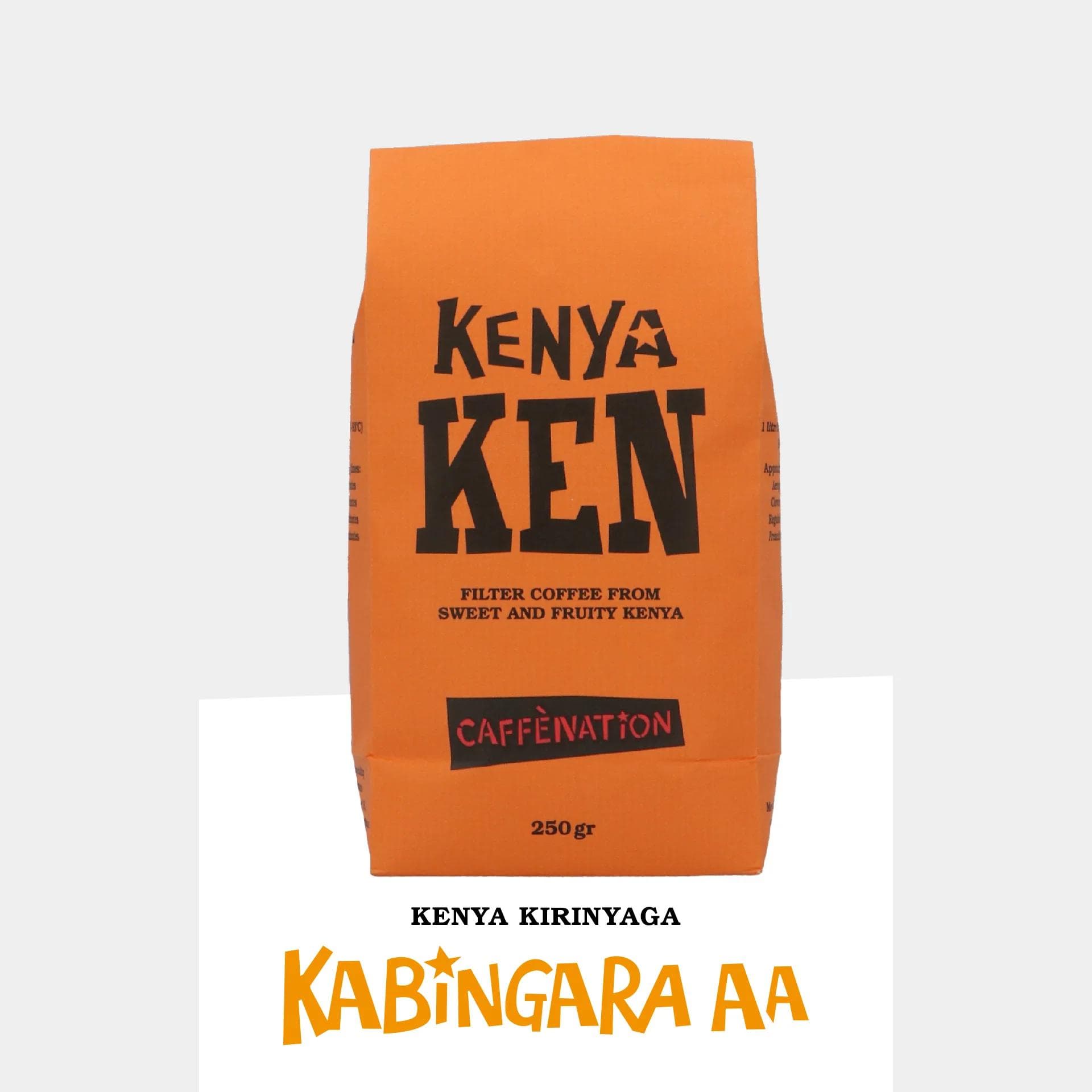 Image of  Filter Kenya Kirinyaga Kabingara AA