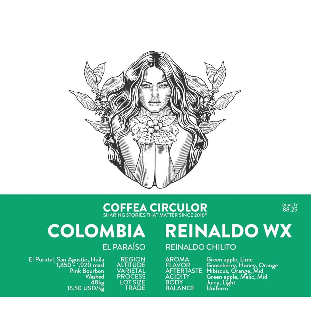 Image of COLOMBIA Reinaldo Chilito Pink Bourbon Washed WX