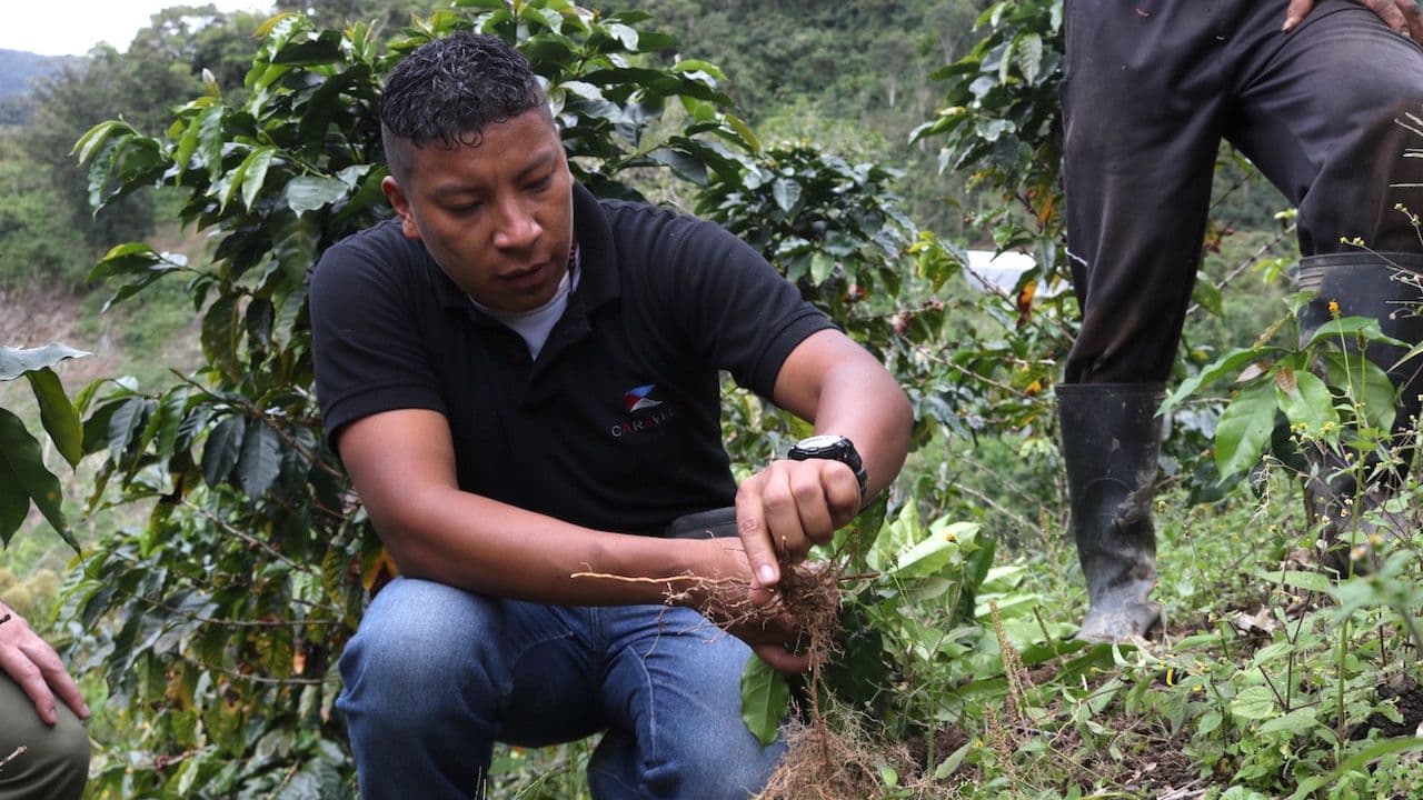 Image of Ecuador Loja Altos De Marfil