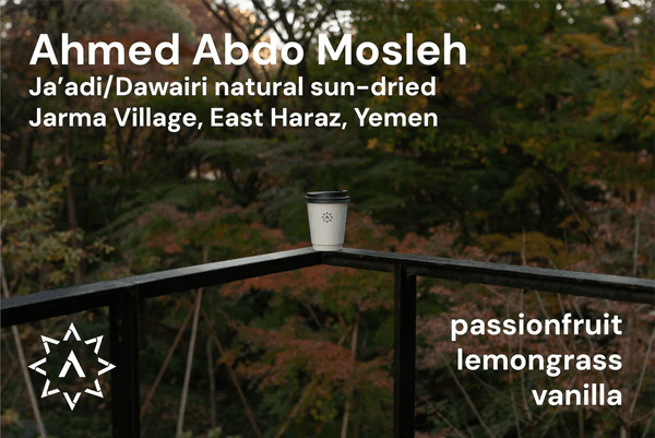 Image of Ahmed Abdo Mosleh