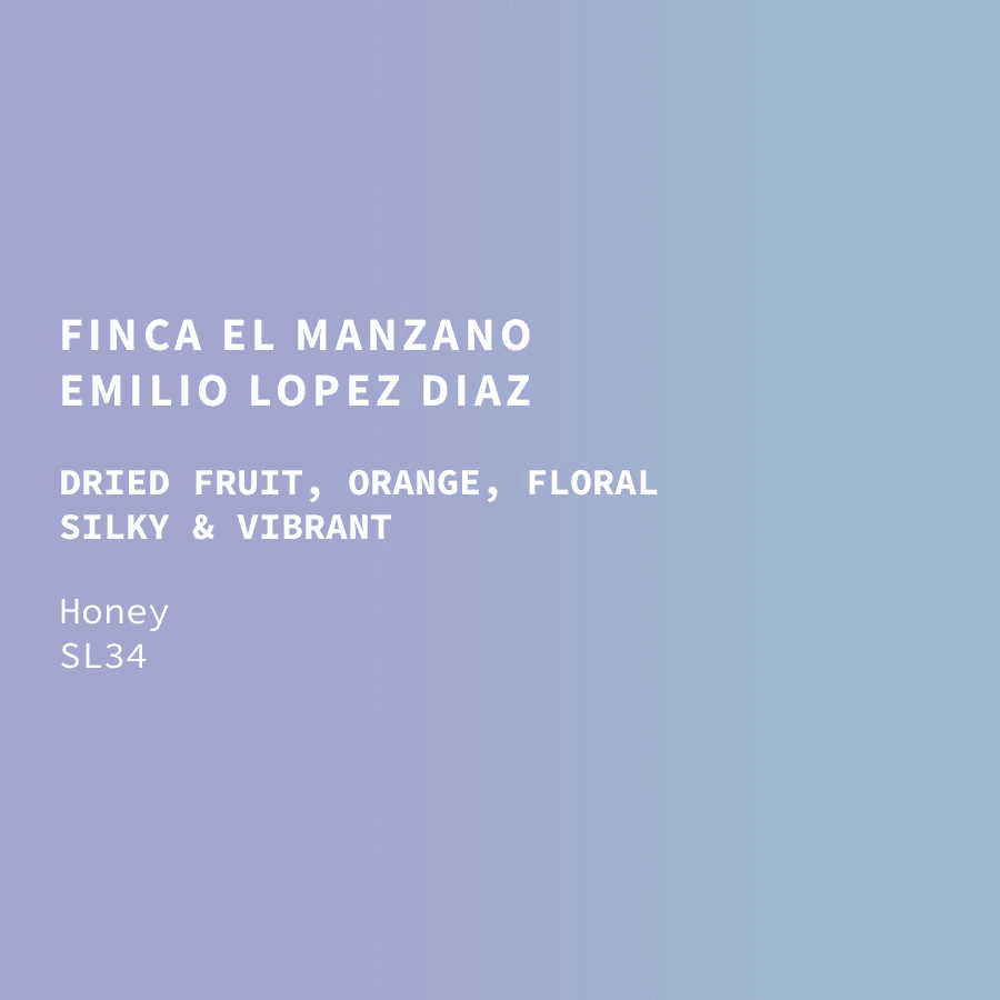 Image of El Salvador Finca El Manzano La Cumbre