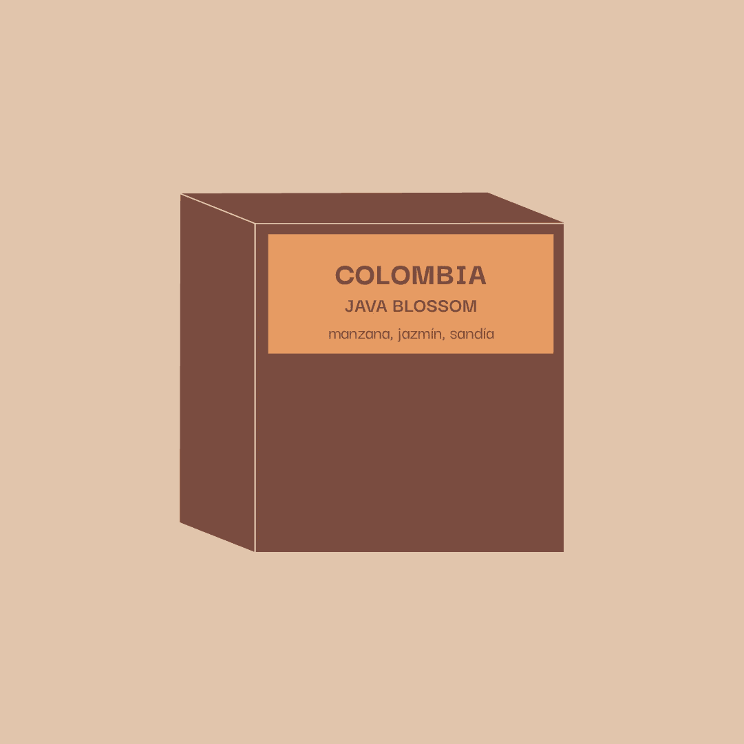 Image of Guatemala Los Arrollos - Washing