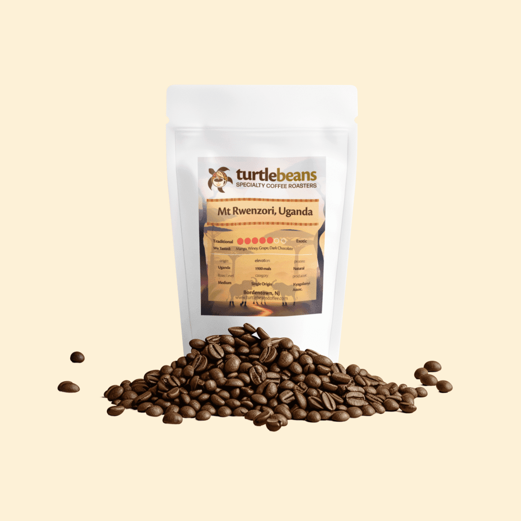 Image of  Uganda Rwenzori Mountain