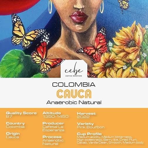 Image of Colombia Cauca Pink Bourbon